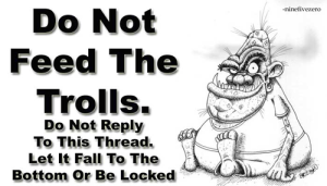 Seven-Tips-for-Dealing-with-Online-Trolls-300x171